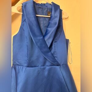 Adriana Papell, royal blue tuxedo high low gown. Worn wants.